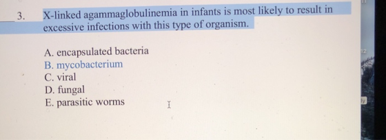 X-linked agammaglobulinemia in infants is most likely to result in excessive infections with this type of organism. A. encaps