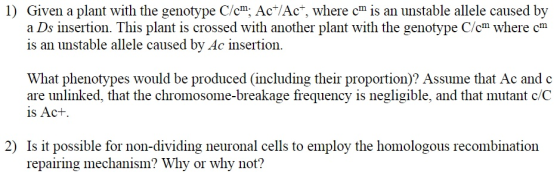 1) Given a plant with the genotype C/cm; Ac+/Act, where om is an unstable allele caused by a Ds insertion. This plant is cros