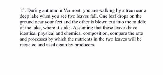 15. During autumn in Vermont, you are walking by a tree near a deep lake when you see two leaves fall. One leaf drops on the