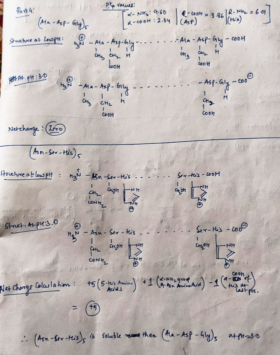 а 4 м. РУолші: I (Ala-Asp-Gly)s x-NH2:9.60 e-coon a-cool: 2.34 | (Asp) 3.86 B (hes Structure at low pH: ...Ala-Asp-Gly-cool