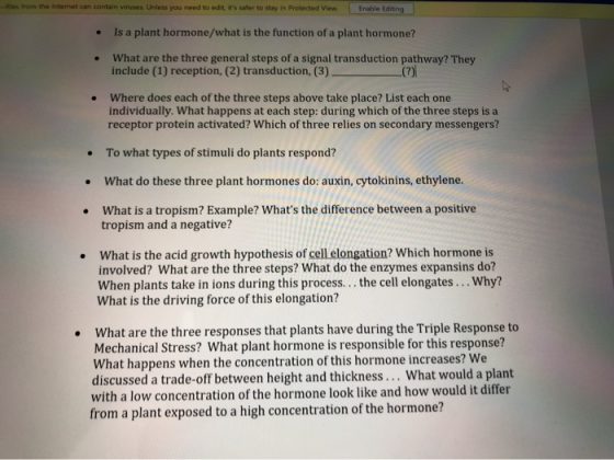 the can contain viruset Unless you need to fer to stay in Protected View Erable Editing Is a plant hormone/what is the functi
