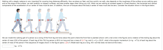 Walking with a steady cadence is very important for covering long distances efficiently. How we place our feet, and how quick