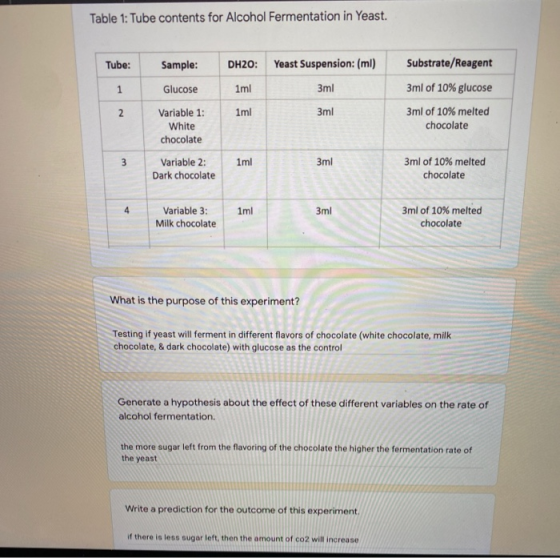 Table 1: Tube contents for Alcohol Fermentation in Yeast. Tube: Sample: DH2O: Yeast Suspension: (ml) Substrate/Reagent Glucos