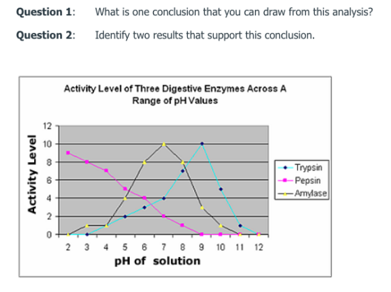 Question 1: Question 2: What is one conclusion that you can draw from this analysis? Identify two results that support this c