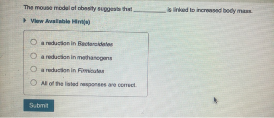 The mouse model of obesity suggests that is linked to increased body mass. Vlew Avallable Hint(s) O O a reduction in Bacteroi