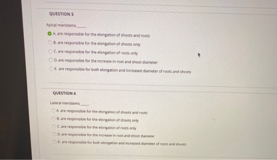 QUESTION 5 Apical meristems A. are responsible for the elongation of shoots and roots B. are responsible for the elongation o
