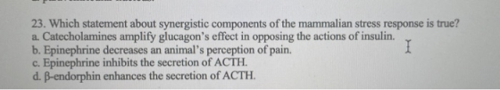 23. Which statement about synergistic components of the mammalian stress response is true? a. Catecholamines amplify glucagon