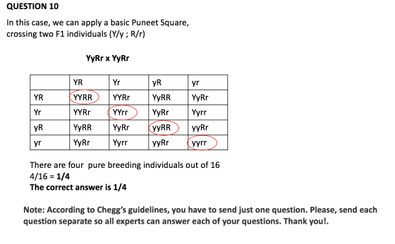 QUESTION 10 In this case, we can apply a basic Puneet Square, crossing two F1 individuals (Y/y; R/r) YyRr x YyRr YR Yr YR yr