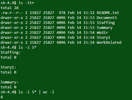 sh-4.4$ ls -1tr total 28 -rw-r--r 1 25827 25827 978 Feb 14 15:52 README.txt drwxr-xr-x 2 25827 25827 4096 Feb 14 15:53 Docume