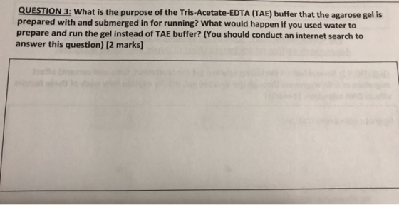 QUESTION 3: What is the purpose of the Tris-Acetate-EDTA (TAE) buffer that the agarose gel is prepared with and submerged in