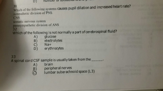 D) Hut 31 Which of the following systems causes pupil dilation and increased heart rate? sympathetic division of PNS CNS somatic nervous system parasympathetic division of ANS 32 Which of the following is not normally a part of cerebrospinal fluid? A) glucose B) electrol ytes C) Na+ D) erythrocytes A spinal cord CSF sampleis usually taken from the A) brain ) peripheral nerves lumbar subarachnoid space (L3)