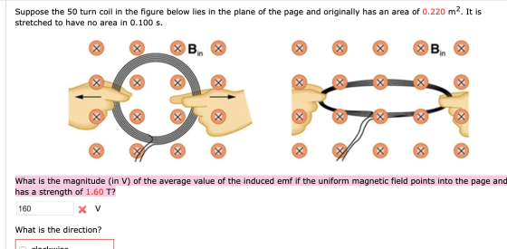 Suppose the 50 turn coil in the figure below lies in the plane of the page and originally has an area of 0.220 m2. It is stre