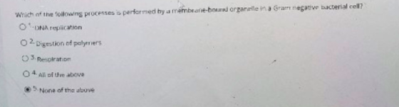 Which of the following processes is performed by a membrane-bound organrile in a Gran negative bacterial cell? O DNA replicat
