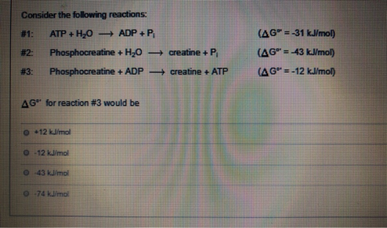 Consider the following reactions: #1: ATP + H2O -> ADP +P, #2: Phosphocreatine + H20 — #3: Phosphocreatine + ADP — creatine +