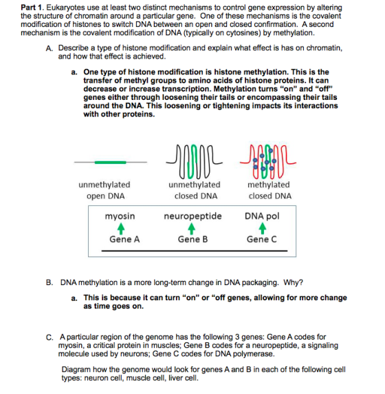 Part 1. Eukaryotes use at least two distinct mechanisms to control gene expression by altering the structure of chromatin aro