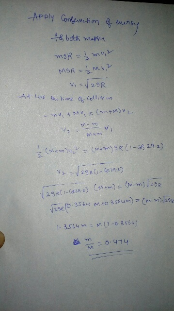 App chim 252 tM
