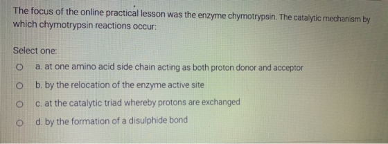 The focus of the online practical lesson was the enzyme chymotrypsin. The catalytic mechanism by which chymotrypsin reactions