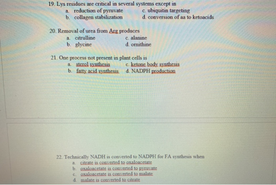 19. Lys residues are critical in several systems except in a reduction of pyruvate c. ubiquitin targeting b. collagen stabili
