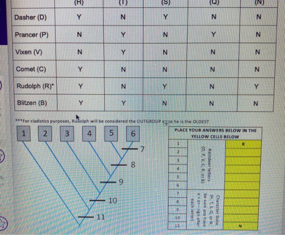 3 z 2 z Dasher (D) Y N Y z Prancer (P) Y N Y z Vixen (V) N Y N N N Comet (C) Y N N N z Rudolph (R) Y N Y N Y Blitzen (B) Y Y