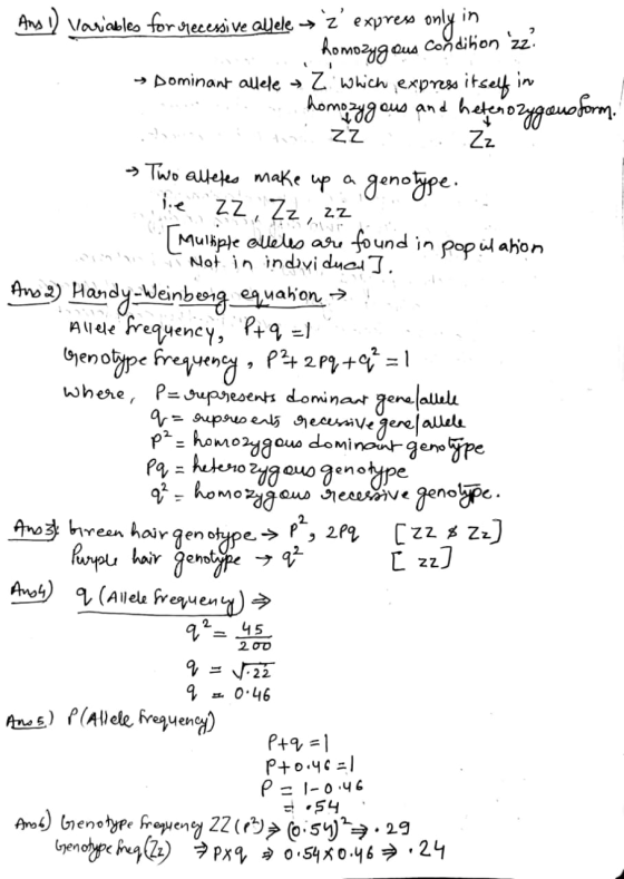 And I) variables for recessive allele z express only in ... homozygous condition zz? → Dominant allele → Z which express itse