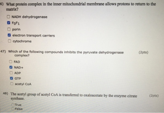 6) What protein complex in the inner mitochondrial membrane allows protons to return to the matrix? ONADH dehydrogenase FoF1 porin electron transport carriers cytochrome 47) Which of the following compounds inhibits the pyruvate dehydrogenase (2pts) complex? O FAD NAD+ □ ADP acetyl COA 48) The acetyl group of acetyl CoA is transferred to oxaloacetate by the enzyme citrate synthase. OTrue (2pts) False