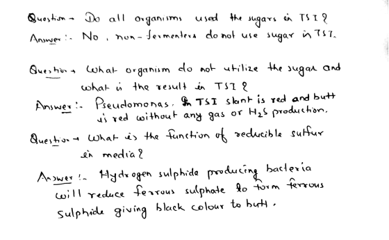 Question - Do all organisms used the sugars en TSI ? Answerin No, non-fermenters do not use sugar in 7579 Questions What orga