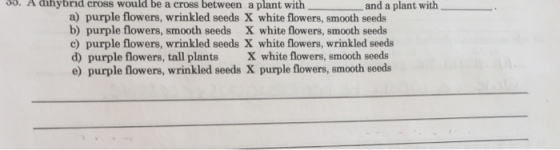 A dinybrid cross would be a cross between a plant