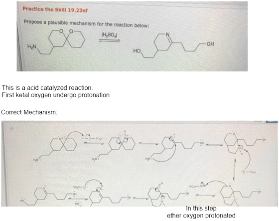 Practice the Skill 19.23ef Propose a plausible mechanism for the reaction below: (HS0] 0 HO This is acid catalyzed reaction.