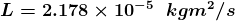 \boldsymbol{L=2.178\times 10^{-5} \; \; kgm^{2}/s}