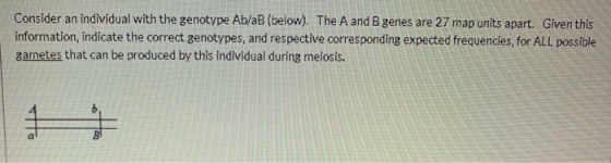 Consider an individual with the genotype Ab/aB (below). The A and B genes are 27 map units apart. Given this information, ind