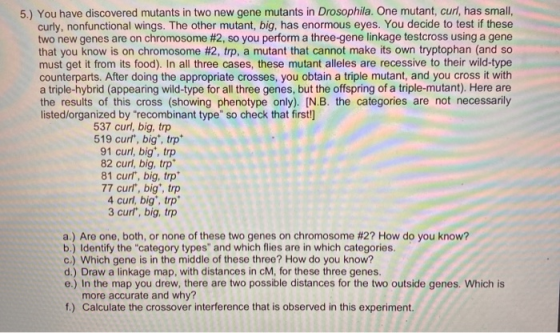 5.) You have discovered mutants in two new gene mutants in Drosophila. One mutant, curl, has small, curly, nonfunctional wing