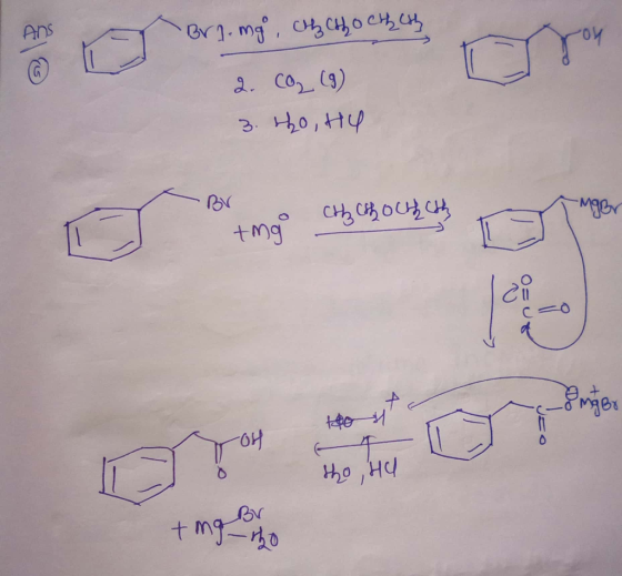 ANS Bri-mg Chy Cho Chhcthy 2. CO₂ (9) 3. ho, Hy -Mer CH₂ Choch chy I mg Ho H JO or online Но не +mgono