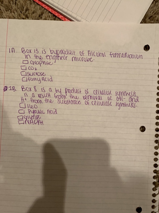IA. BOX 13 is byproduct of Alcohol firmentation In the engineer microbe. o Graphite 002 sucrose Clfatty acid 81B. Box 8 is a