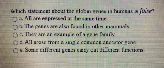 Which statement about the globin genes in humans is false? O a. All are expressed at the same time. b. The genes are also fou
