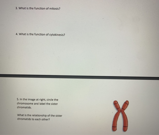 3. What is the function of mitosis? 4. What is the function of cytokinesis? 5. In the image at right, circle the chromosome a