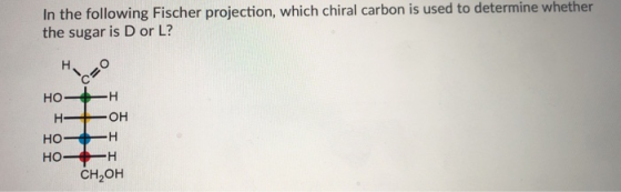 In the following Fischer projection, which chiral carbon is used to determine whether the sugar is D or L? но но— —н HOH Но—