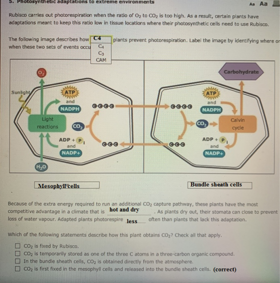 5. Photosynthetic adaptations to extreme environments Aa Aa Rubisco carries out photorespiration when the ratio of O2 to CO2