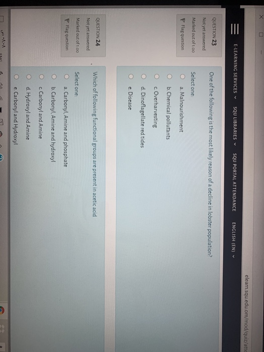 elearn.squ.edu.om/mod/quiz/atte E-LEARNING SERVICES V SQU LIBRARIES SQU PORTAL ATTENDANCE ENGLISH (EN) QUESTION 23 One of the