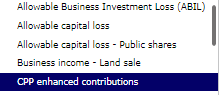 Allowable Business Investment Loss (ABIL) Allowable capital loss Allowable capital loss - Public shares Business income - Lan