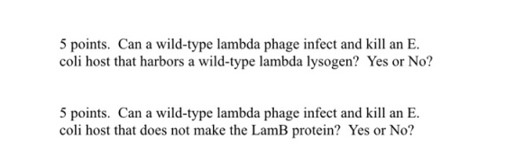 5 points. Can a wild-type lambda phage infect and kill an E. coli host that harbors a wild-type lambda lysogen? Yes or No? 5