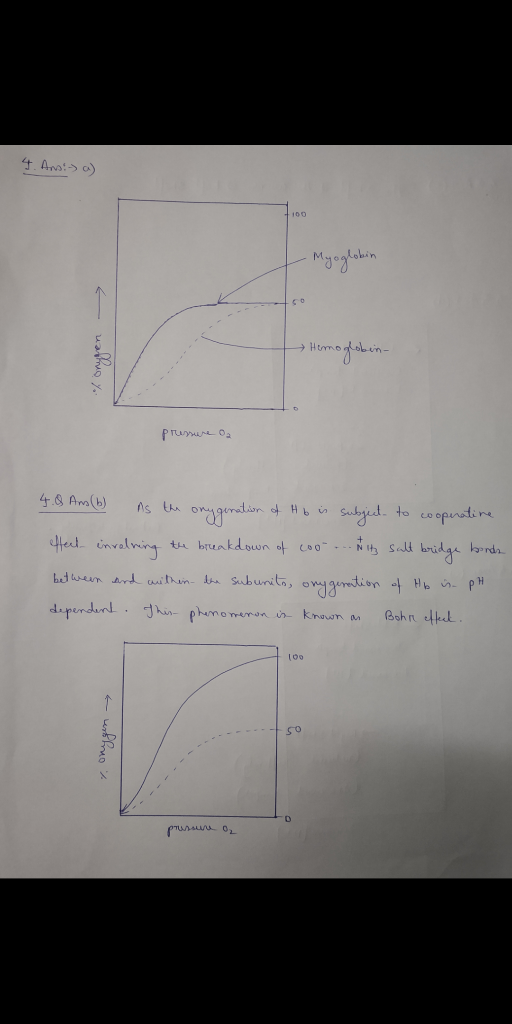 4. Ano :-) a) Myoglobin - นมขาษy > Рталамоа 4.8 Ans(b) as the ony genation of Hb is subject to cooperatine effect invelning t