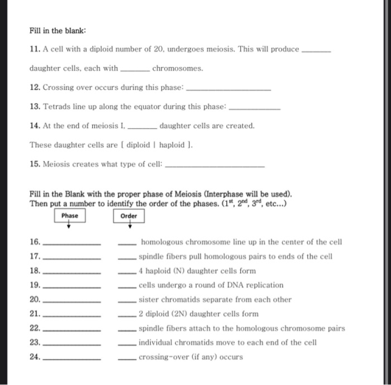 Fill in the blank: 11. A cell with a diploid number of 20, undergoes meiosis. This will produce daughter cells, each with __