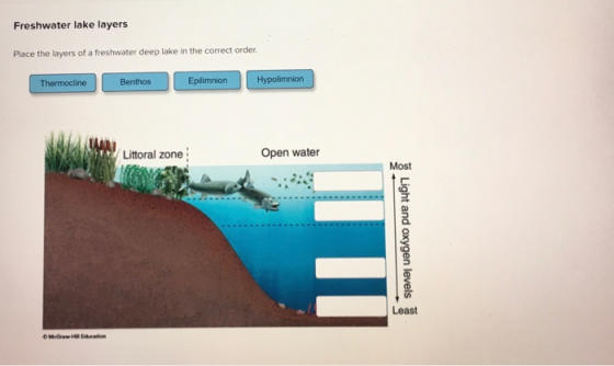 Freshwater lake layers Place the layers of a freshwater deep lake in the correct order. Thermocline Benthos Epilimnion Hypoli