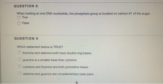 QUESTION 8 When looking at one DNA nucleotide, the phosphate group is located on carbon #1 of the sugar. True False QUESTION