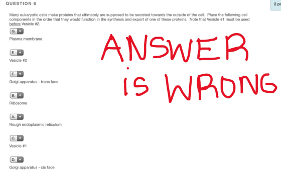 QUESTION 6 2 pc Many eukaryotic cells make proteins that ultimately are supposed to be secreted towards the outside of the ce