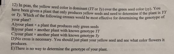 er the green seed color (wy). You nine if the plant is YY 12) In peas, the yellow seed color is dominant (YY or Yy) over the