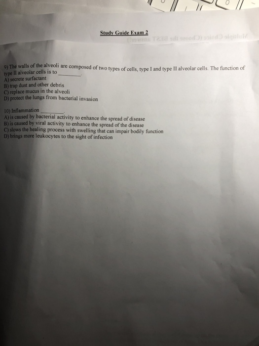 Study Guide Exam 2 The walls of the alveoli are composed of two tvnes of cells ivne land type II alveolar cells. The function