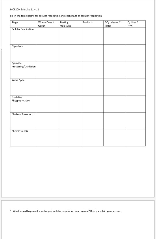BIOL200, Exercise 11+12 Fill in the table below for cellular respiration and each stage of cellular respiration Stage Product
