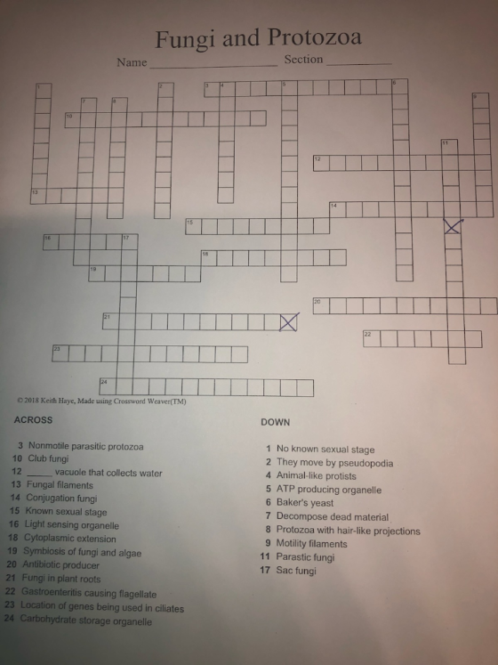 Fungi and Protozoa Name Section 2018 Keith Haye, Made using Crossword Weaver(TM) ACROSS DOWN 3 Nonmotile parasitic protozoa 1