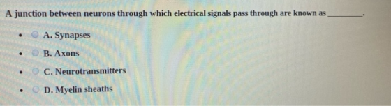 A junction between neurons through which electrical signals pass through are known as . A. Synapses B. Axons • O C. Neurotran